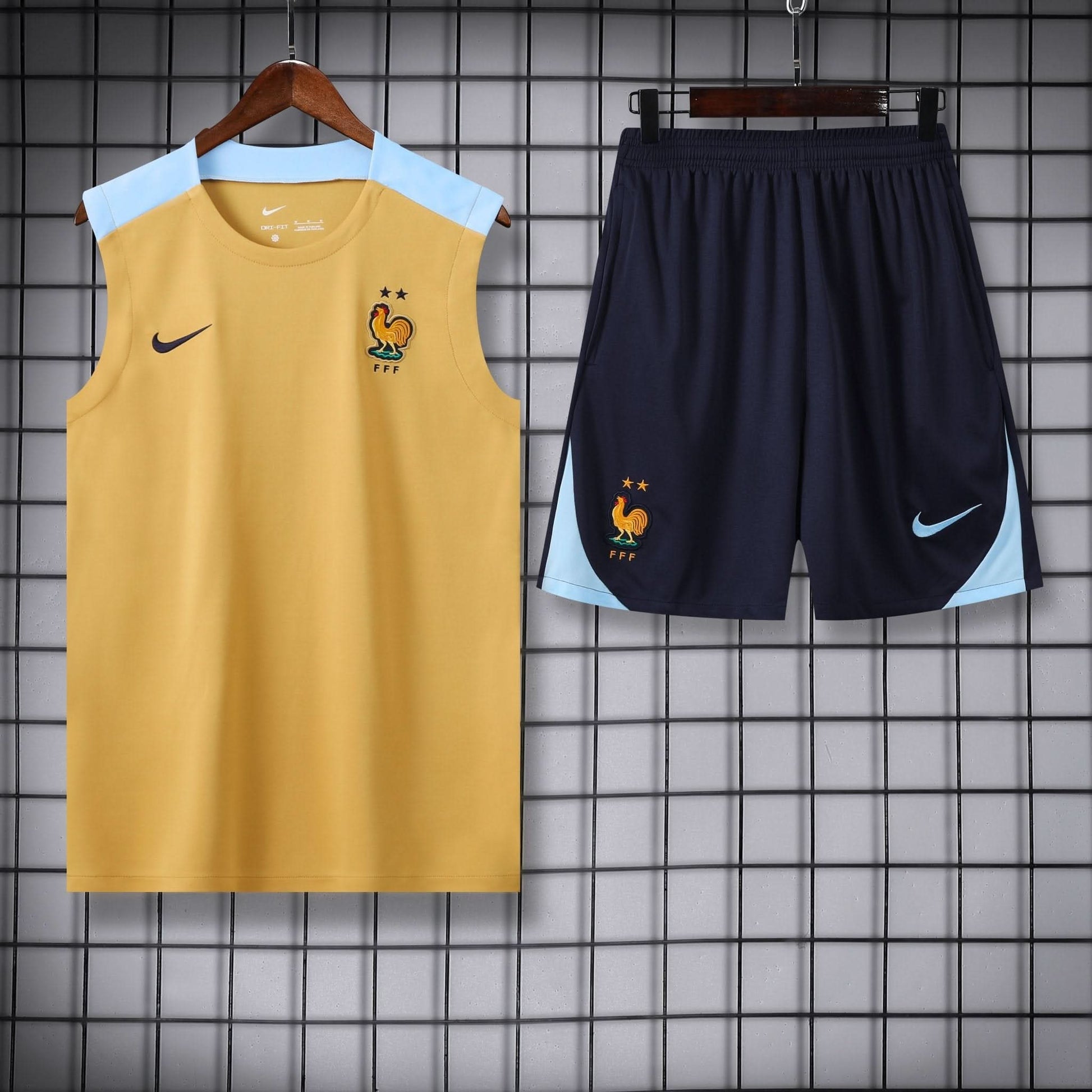 France Gold Light Blue Training Shirt - TheFutbolistaCloset
