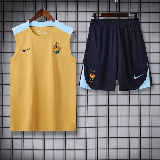 France Gold Light Blue Training Shirt - TheFutbolistaCloset