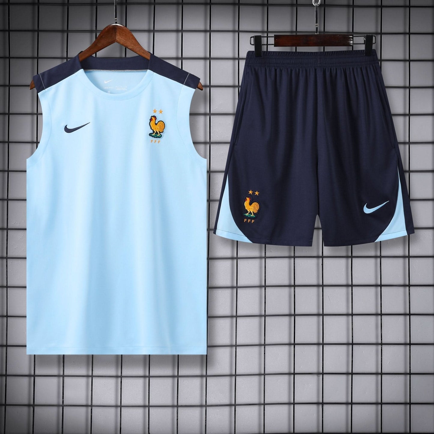 France Light Blue Training Shirt - TheFutbolistaCloset